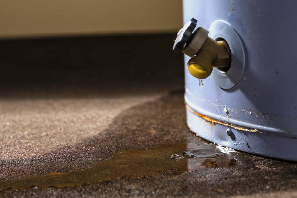 Best Water damage mitigation services  in Westfield, IN