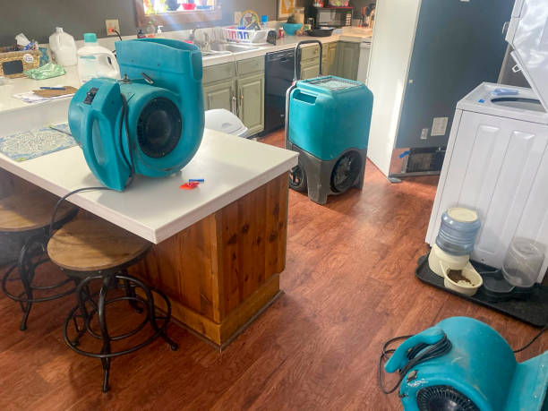 Best 24/7 water damage repair  in Westfield, IN