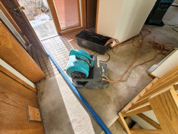 Best Sewage cleanup and water damage restoration  in Westfield, IN