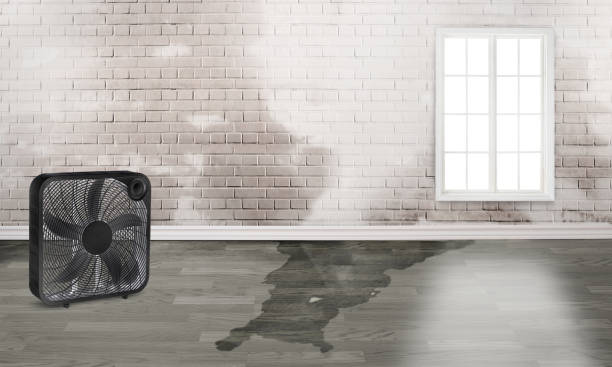 Best Commercial water damage restoration  in Westfield, IN